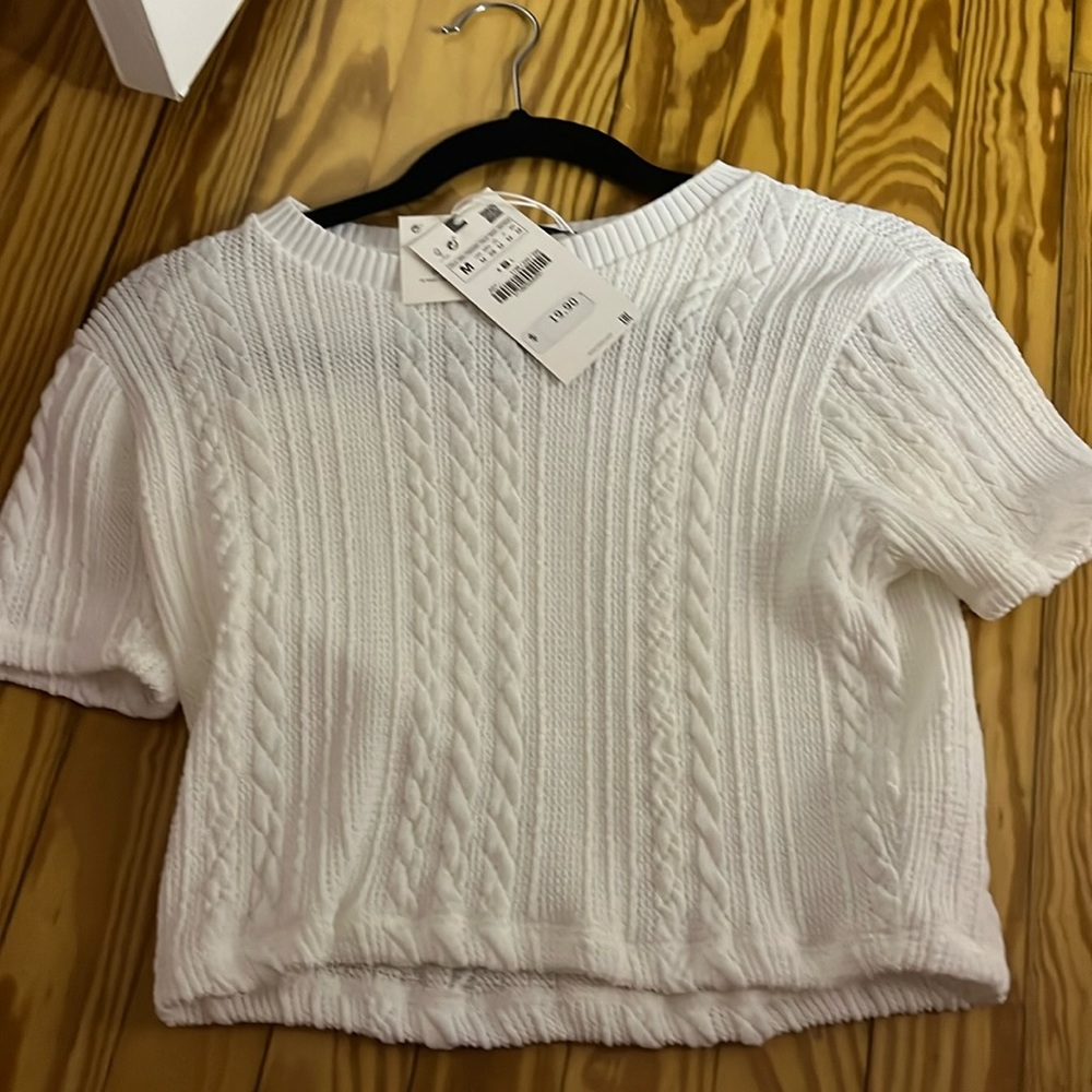 Zara see through knit shirt. Cropped